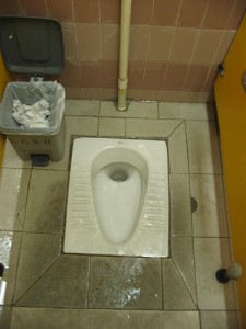Dreaded squat toilets
