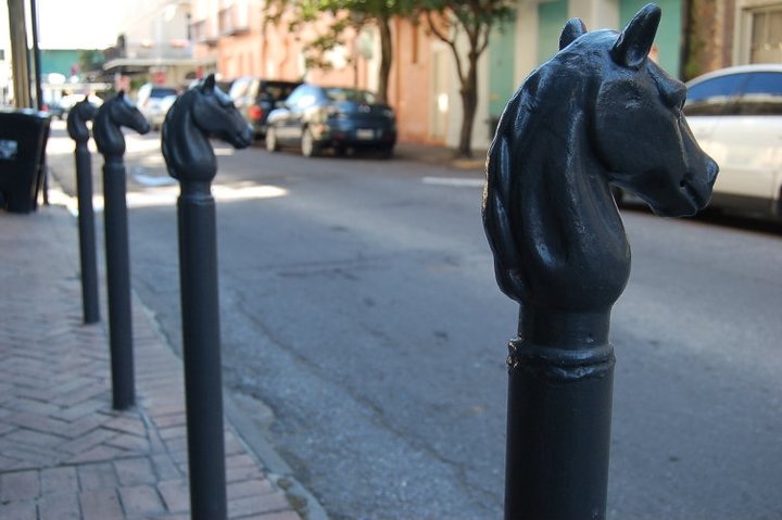 Horse heads in New Orleans