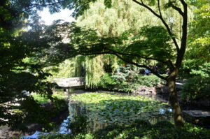 Dr. Sun Yat-Sen Chinese Garden