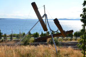 Seattle's Olympic Sculpture Park