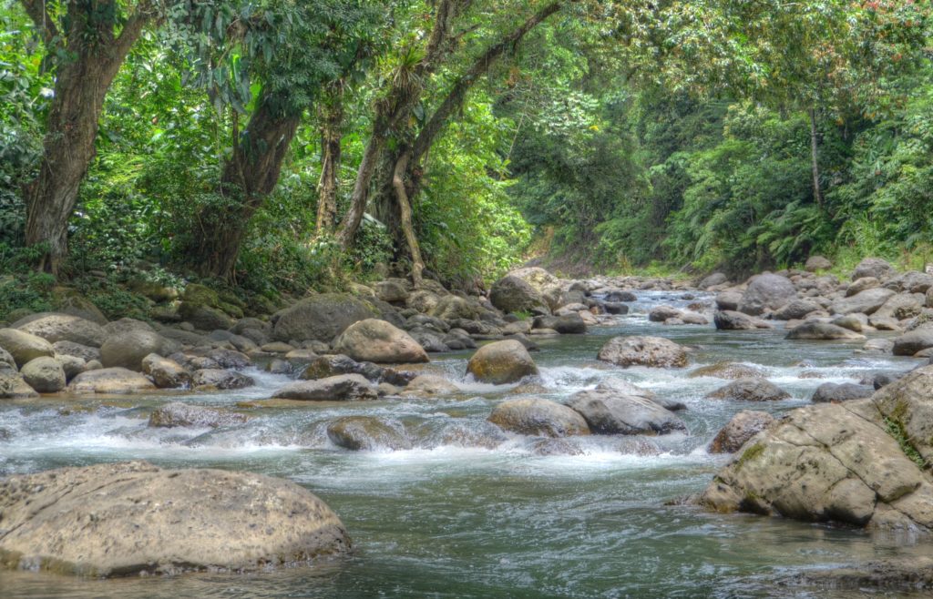 The Skui River in Costa Rica