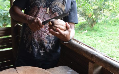 Making cocoa with Bribri