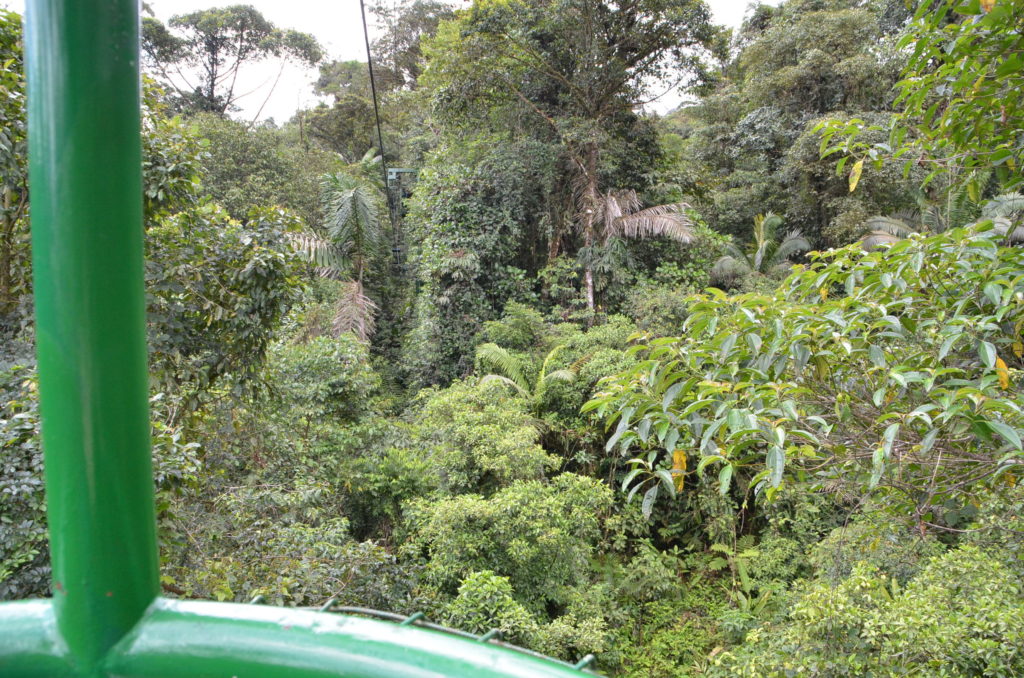 Aerial tram in Costa Rica