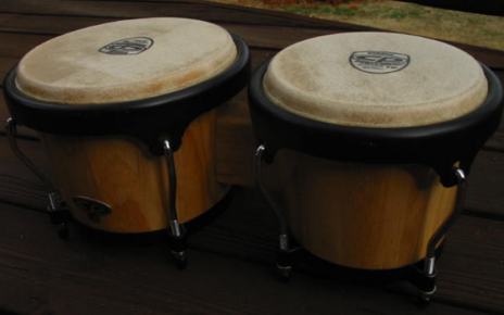 south american bongos