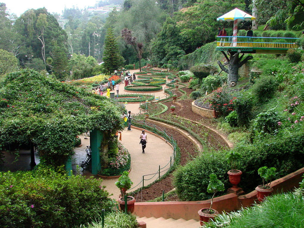 1024px-Botanical_Gardens_-_Ootacamund_(Ooty)_-_India_03-1